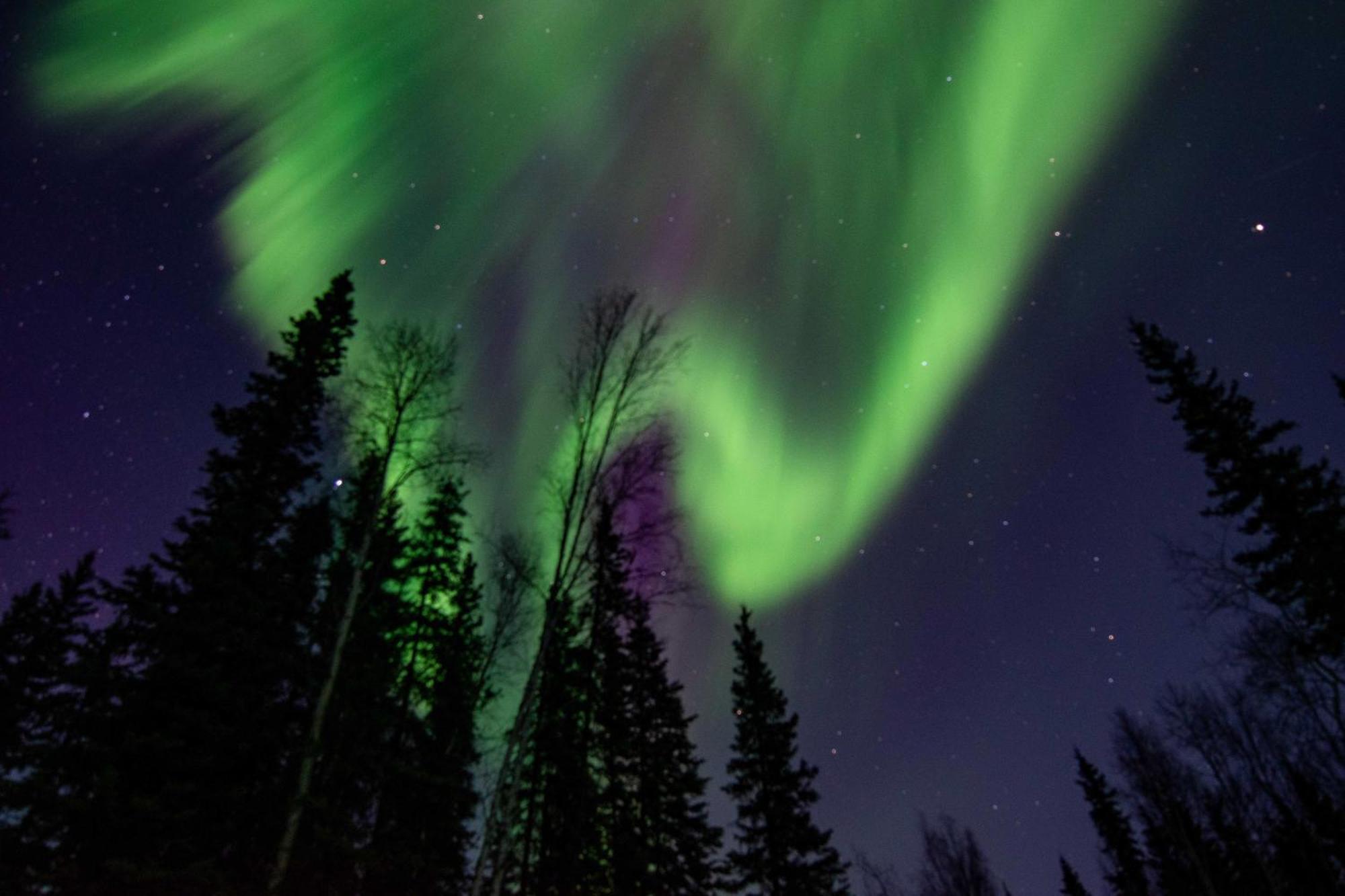 Riverside Log Cabin On-Site Aurora Viewing! North Pole Eksteriør billede