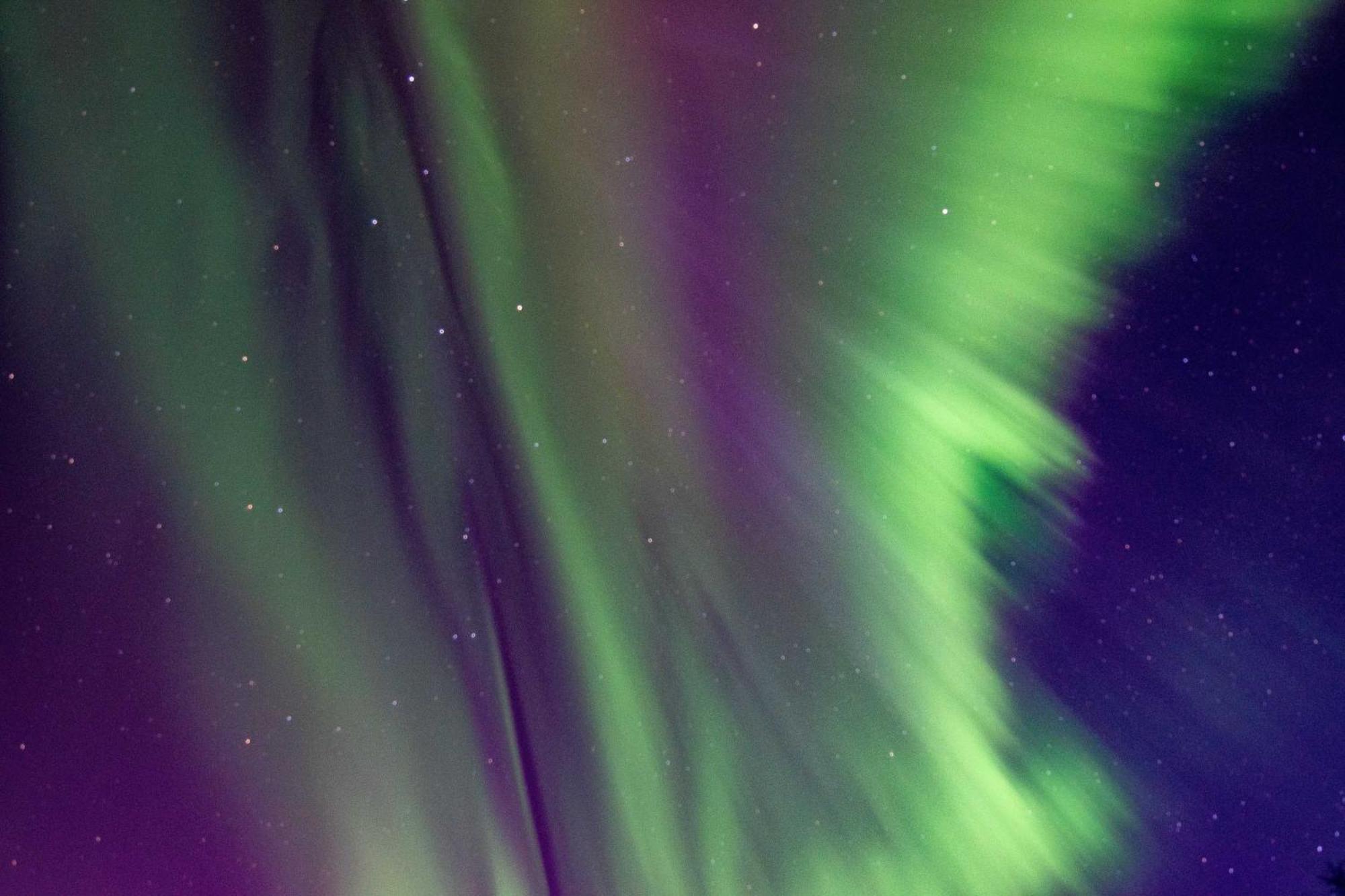 Riverside Log Cabin On-Site Aurora Viewing! North Pole Eksteriør billede